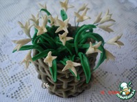 ���� "�����������" �����������