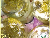 ������������ ��������� �����������