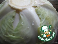 ��������� � �������� �����������