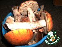 �������, ������������� ������� �����������