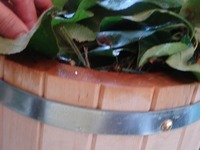 ������ ���e��� "�����������" �����������