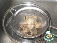 �����������-������ ����� �����������