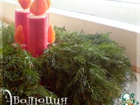 ����� ����������� ����������� �����������