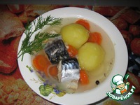 ������ �� �������� � ��������� �����������