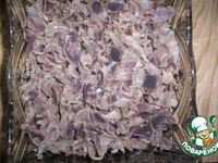 ����� � �������� ��������� "�������� 2006" �����������