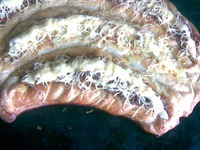 ���������� ����� "�������" �����������