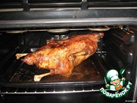 ���� ������������� �����������