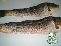 ������������� ���� �����������