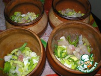 ���� � �������� �����������