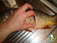 ���������� ���� �����������