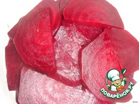 ������ � ������� �������� �����������