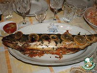 ������� � ������ �����������