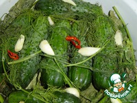 ������ ����������� �����������