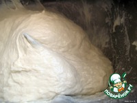 ������� � ��������-������ �������� �����������