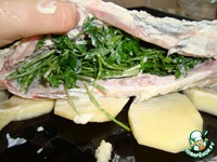 ���������� ���� �����������