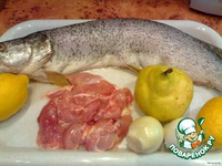 ������������� ���� "�����������" �����������