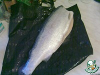 ����� � ��������-��������� ����� � ������� � ��������� �����������