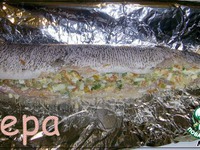 ������������� ���� �����������