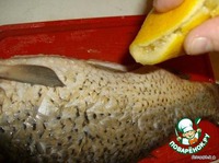 ���� ������������ �����������