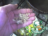 ��� � ������� �����������