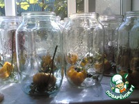 ������ �������� �����������