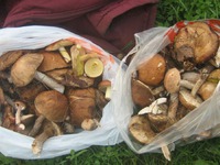 �������  � ������ ������� �����������