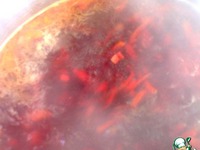 �������������� ��� �� �������� � ������� �����������