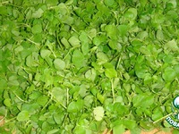 ����� �� ������ �����������