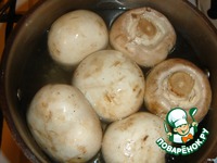 ����� �� ����������� � ����������� � ������� ������ �����������