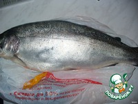 ���-���� �� ������ �����������