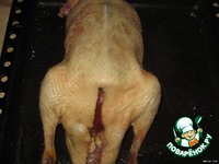 �������� ���� �����������