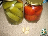 ����� "����������" �����������