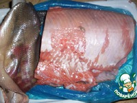 ������� "�����" �����������