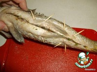 ���� ������������ �����������