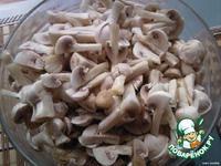 ���������� ���� "������� ����������" �����������