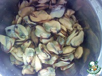 ����� ������������ "��������" �����������