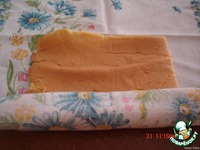 ���������-�������� ���� �����������