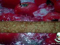 ����� �� ������ � �����-��������� �������� �����������