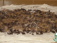 ����� � ������� �����������