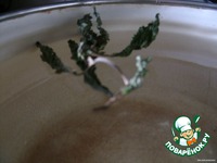 ���������� ���� � ����� �����������