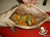 ���� ������������ �����������