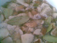 ����� ������������ �����������