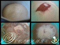 ������� ����������� �����������