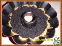 ������������ ����-������� � ����� �����������