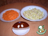 ������� ������ �����������