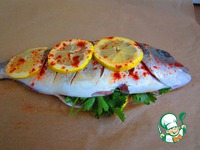 ������ �� ����� �����������