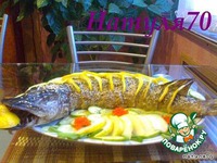 ������������� ���� "�����������" �����������