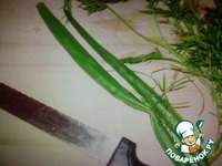 ������� ��������� �����������