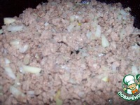 ����� ���������� �����������