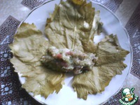 ����� �����������